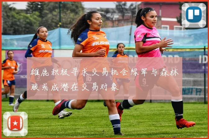 雄鹿积极寻求交易机会绿军与森林狼或成潜在交易对象