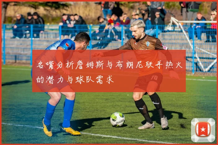 名嘴分析詹姆斯与布朗尼联手热火的潜力与球队需求