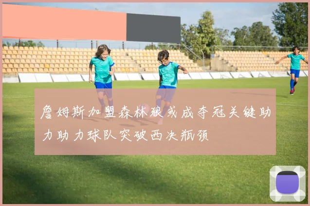 詹姆斯加盟森林狼或成夺冠关键助力助力球队突破西决瓶颈