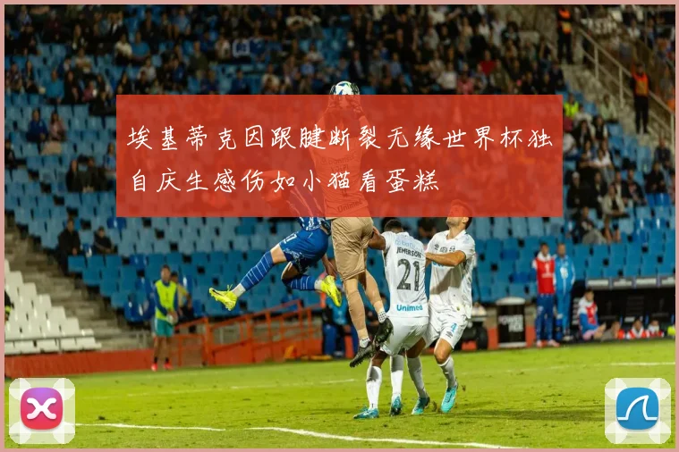 埃基蒂克因跟腱断裂无缘世界杯独自庆生感伤如小猫看蛋糕